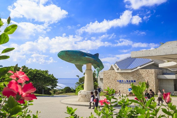 沖縄MaaS|チケット購入|施設|1185|沖縄美ら海水族館入館料